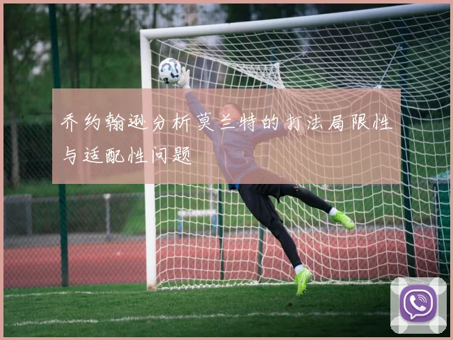 乔约翰逊分析莫兰特的打法局限性与适配性问题